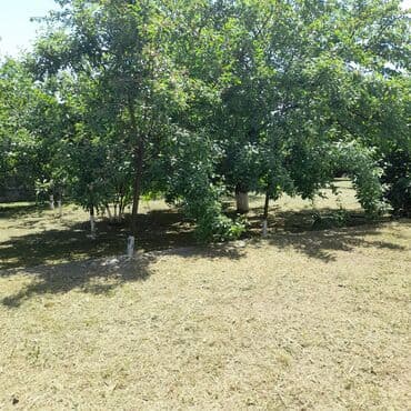 lalafo долгосрочная аренда квартир: 250 м², 5 комнат, Комби, Газ, Электричество — 27