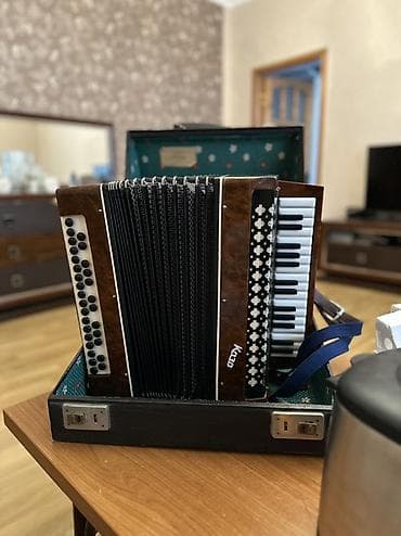 Клавишные инструменты: Акустический Аккордеон — 2
