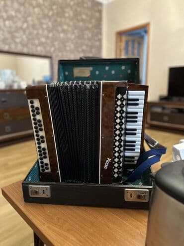 Sintezatorlar: Akustik Akkordeon — 6