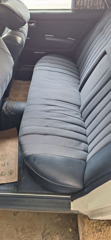 yeşqa mersedes: Mercedes-Benz 250: 2.5 l | 1981 il Sedan — 14