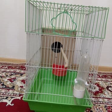 Xaltalar, qayışlar və tasmalar: Salam göründüyü kimidi real alıcıya endirim olajax Quş qəfəsi və — 1