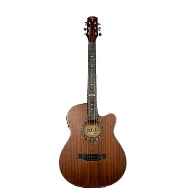 Fleytalar: Akustik gitara, 6 sim — 2