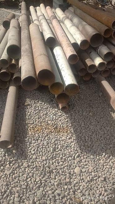 zvonok it satisi: 1 ay, Erkek, Ünvandan götürmə — 5