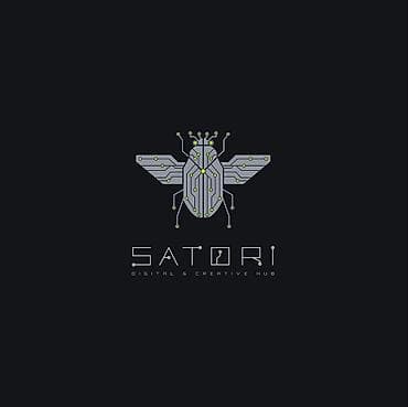 hoffman mikrodalgali soba: SATORI Digital & Creative Hub-un təsisçisi və baş IT — 1