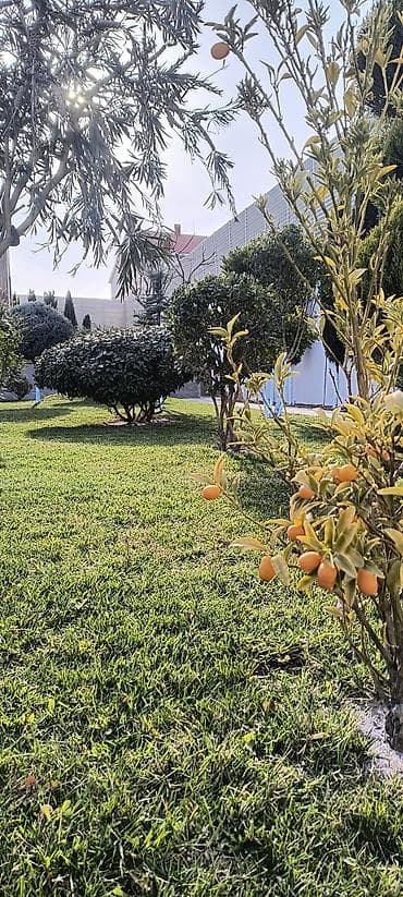 Услуги мастеров по дверям: Aqranom Xidməti – bağ və təsərrüfat üçün professional aqrotexniki — 7