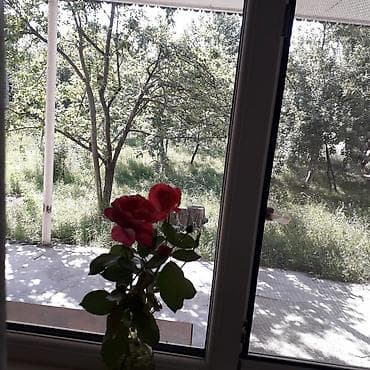 samaxi kiraye evler hovuzlu: 100 kv. m, 1 otaqlı, Hovuzsuz — 9