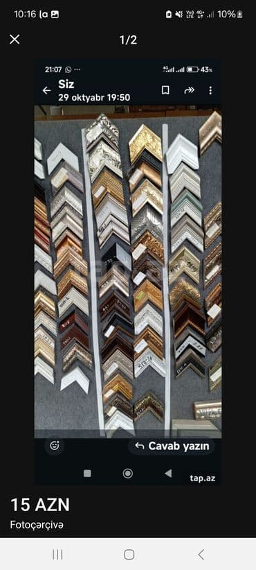 Otaq bitkiləri: Çərçivə — 1