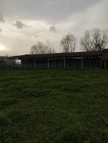 torpaq yeri: 500 sot, Kənd təsərrüfatı, Mülkiyyətçi, Kupça (Çıxarış), Bələdiyyə — 5