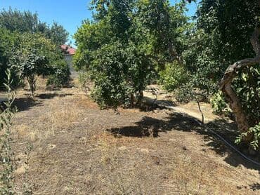 suraxanida torpaq satilir: 4 sot, Tikinti, Makler, Kupça (Çıxarış) — 4