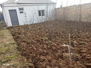ofsiant işi: Həyətyanı torpaq sahələrinin,bağlarin bəllənməsi işləri görülür.qiymet — 2