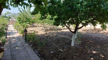 купить дачу в мардакянах: Баку, Новханы, 310 м², 6 комнат, С бассейном, Газ, Комби, Канализация — 12