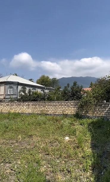 5 sot, Tikinti, Mülkiyyətçi, Kupça (Çıxarış)