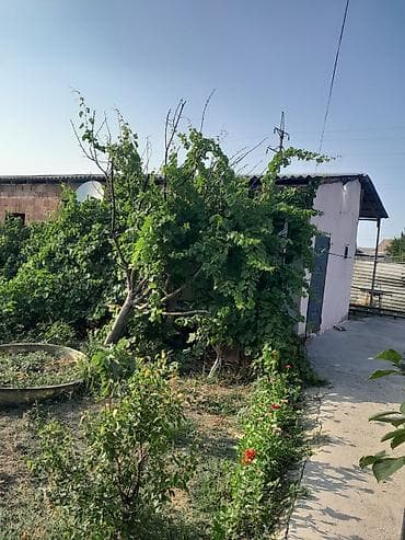 сад: Satılır.6 sonda 3 otaq + mətbəx otağın biri təmirsizdi.hal hazırda — 4