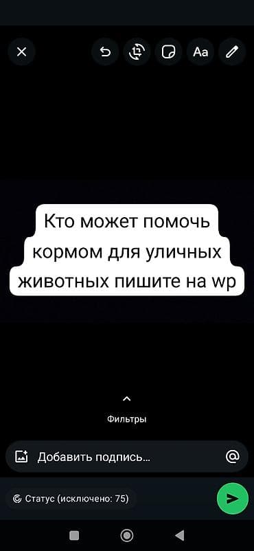 i̇t zvanok: Xeyriyyə təşəbbüsü: küçə heyvanları üçün yem dəstəyi Məqsəd: - Küçə — 1