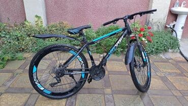 qalin tekerli velosiped: Velosibedin heç bir problemi yoxdur hər şeyi yerindədir bütün — 4