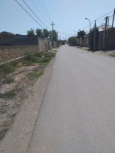 12 sot, Tikinti, Kupça (Çıxarış)