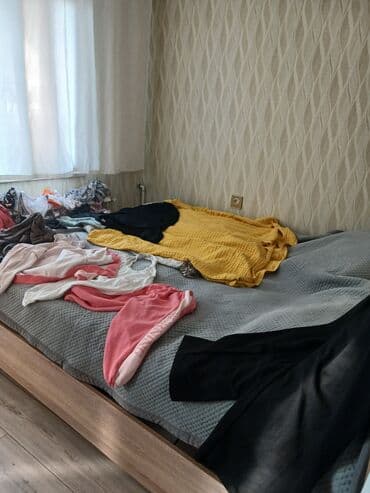 bertolesiya agaci: İkinəfərlik çarpayı, Dolab — 2