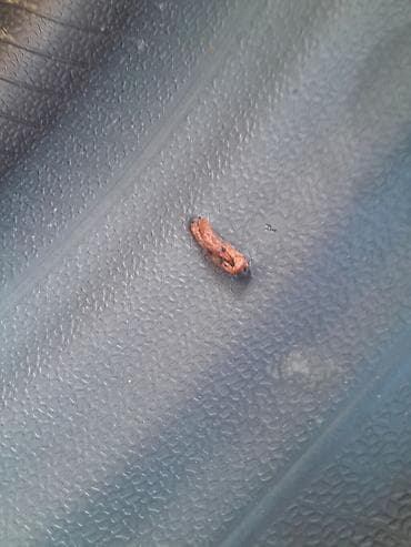 masin elanlari: İşlənmiş Şin Pirelli 245 / 40 / R 20 — 6