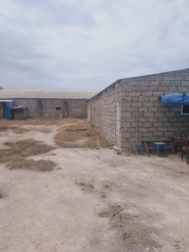 xacmaz rayonu: Bakı, Qala qəs., 550 kv. m, 3 otaqlı, Hovuzsuz, Artezian quyusu, Qaz, Su — 17