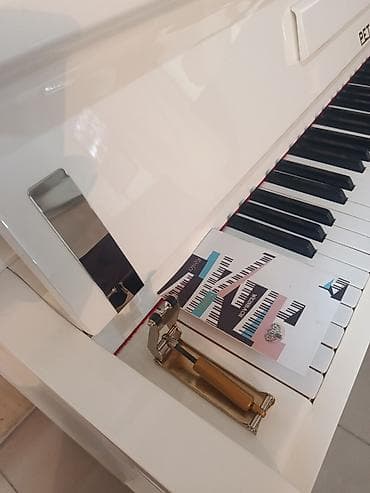 gitara pedalları: Petrof upright piano – klassik dizaynlı ağ rəngdə akustik model — 3