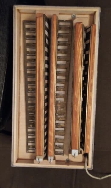 6 cı sinif biologiya kitabı: Qarmon, Yeni, Ünvandan götürmə — 4