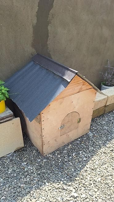 heyvanlar it: Taxta it evi / heyvan üçün açıq hava evi - Material: qalın faner və — 3