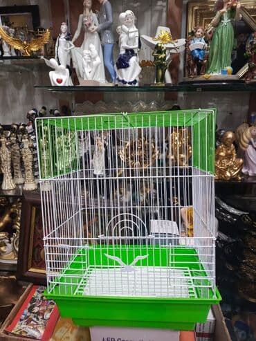 quş qəfəsləri: Qəfəs 9azn Valnisti Tutuquşu Qəfəsi 9azn Amadin Bülbül Qəfəsi 9azn — 2