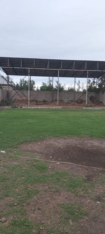 xacmaz rayonu: 12 sot, Kənd təsərrüfatı, Kupça (Çıxarış) — 29