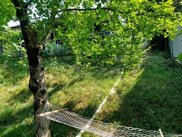 qaxda kirayə evlər 2023: 120 kv. m, 3 otaqlı, İnternet — 19