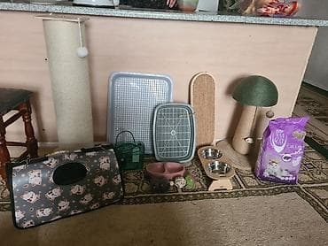 Digər heyvanlar: Pisik ucun esyalar her qiymete var dasima 20azn dirnaqitiliyen — 2