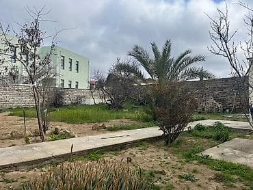 şaganda torpaq: 4 sot, Tikinti, Mülkiyyətçi, Kupça (Çıxarış) — 4