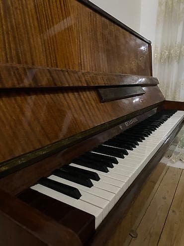 Zərb alətləri: Piano, Belarus, Akustik, İşlənmiş, Ünvandan götürmə — 2