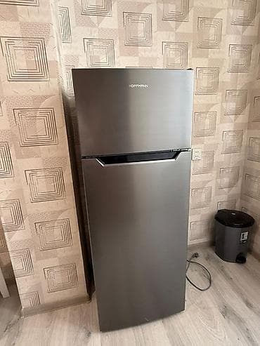 philips xenium 9@9h: 2 qapılı Hoffman Soyuducu Satılır, rəng - Gümüşü — 1