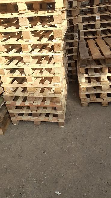 plastik qapi gence: Paletlerin alışı və satışı Hər növ ölçüləri var — 1