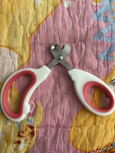 ucuz quzu: Ev heyvanları üçün baxım dəsti - Tük darağı: Geniş başlıqlı — 4