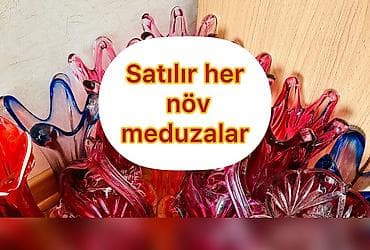 Satılır her növ meduzalar maqazadan Çox ucuz hamsı teze esl cehizlik
