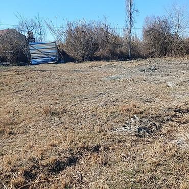 Qarajlar: 30 sot, Tikinti, Mülkiyyətçi, Bələdiyyə — 3