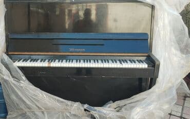 купить пианино бу: Musiqi aləti. Pionino — 1