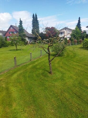 10 sot, Tikinti, Mülkiyyətçi, Kupça (Çıxarış)