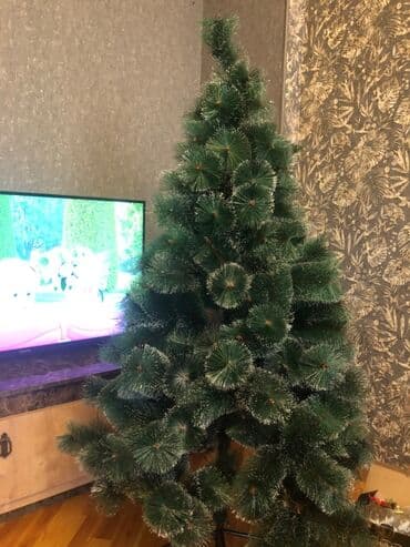 Информатика: Yolka satılır yenidir. Heç bir deffekti yoxdur. 160sm-dir. Dəqiq — 2