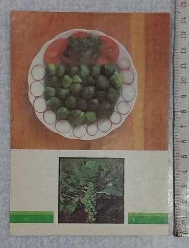 kohnə pullar: Otkrıtkalar. Tərəvəzlərdən hazırlanan dəst olaraq 22 ədəd reseptli — 6