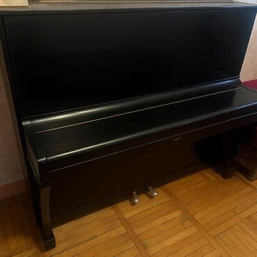uşaq royalı: Piano, Belarus, Akustik, İşlənmiş, Ünvandan götürmə — 1