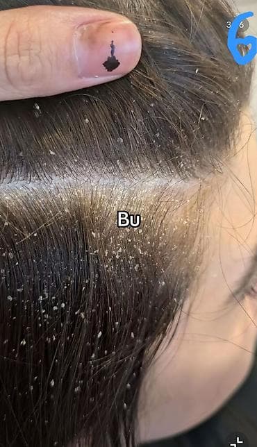 az dili 7: Женские парикмахеры | Кератин — 3