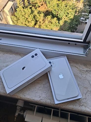 IPhone 11, Ağ