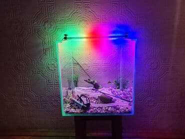 heyvan bazarı: Şüşə akvarium olcusu 40-40-40 elave seyleride var — 1