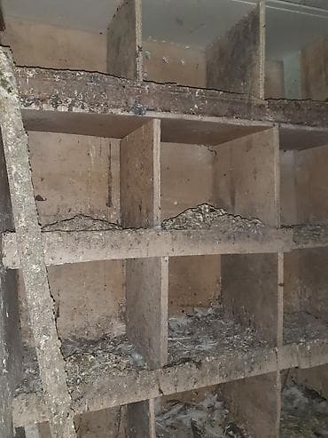 Heyvanlar üçün mallar: Quş yuvaları və kiçik quşxana - Material: taxta karkas, arakəsməli — 1
