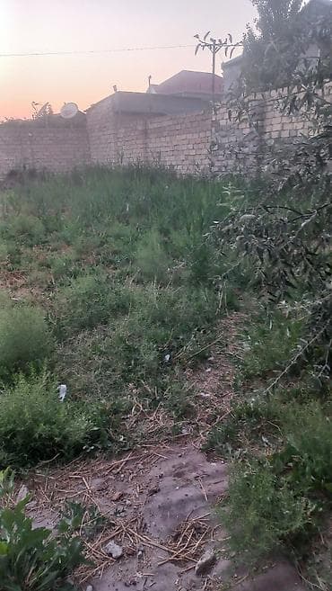 Bakı, Əhmədli, 5 kv. m, 1 otaqlı, Hovuzsuz — 4