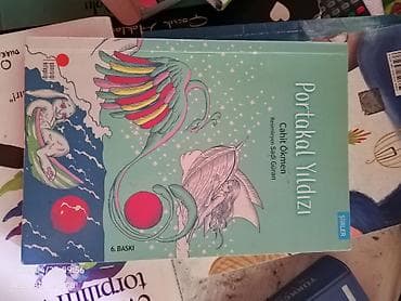 Kitaplarda heç bir problem yoxdur sadəcə ilk səhifəsində ad yazır geri — 3