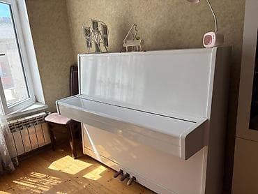 Piano, Belarus, Akustik, İşlənmiş