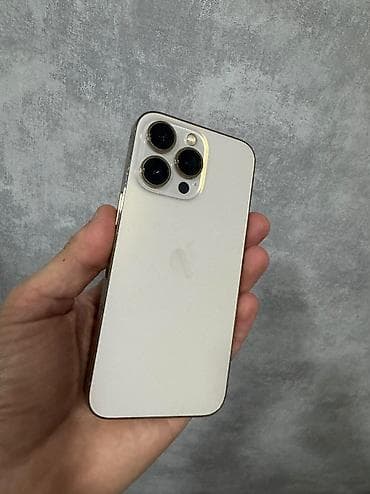 IPhone 13 Pro, 256 GB